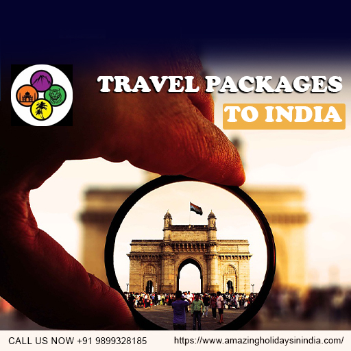 Amazing Holidays in India